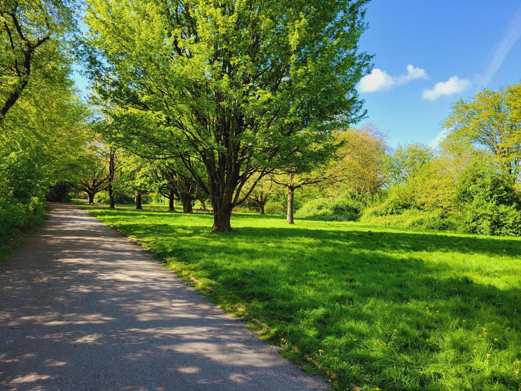 Ferienwohnungen Am Park Βίλχελμσχαφεν Εξωτερικό φωτογραφία