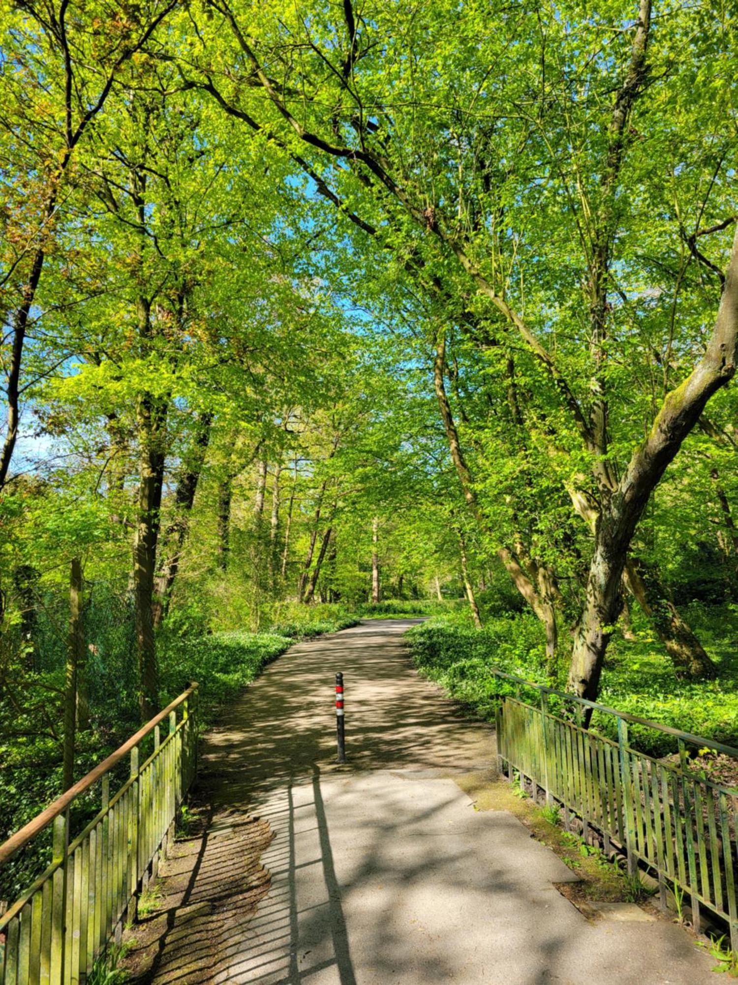 Ferienwohnungen Am Park Βίλχελμσχαφεν Εξωτερικό φωτογραφία